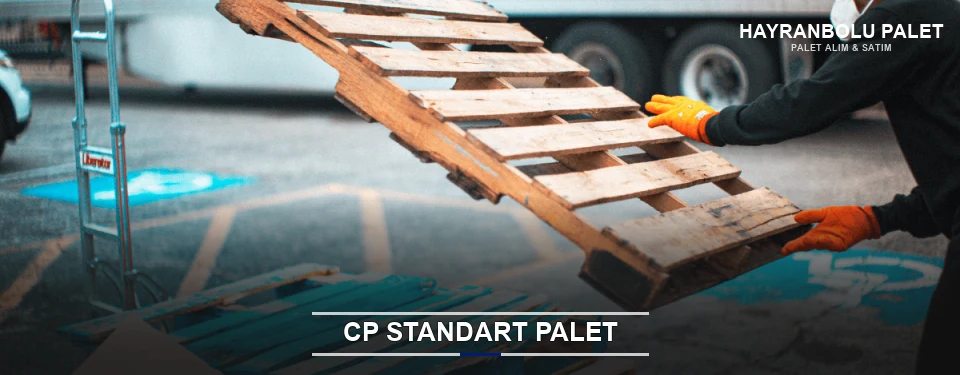 Hayranbolu CP Palet Çözümleri