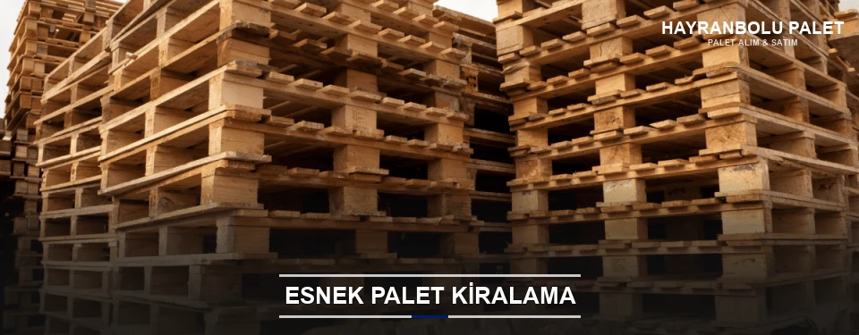 Hayranbolu Uygun Fiyatlı Palet Kiralama